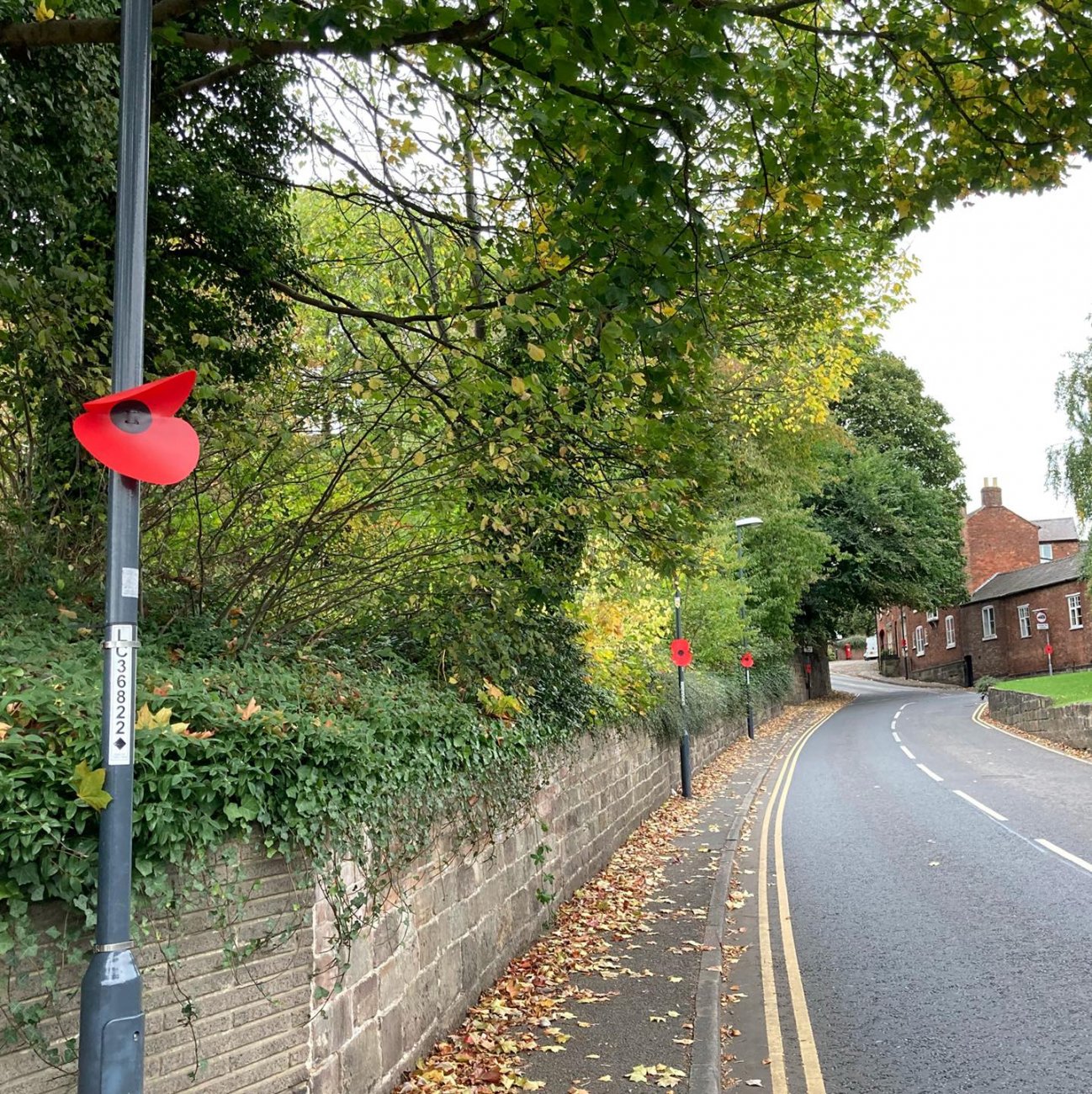 Photograph of Remembrance poppies on Lodge Lane