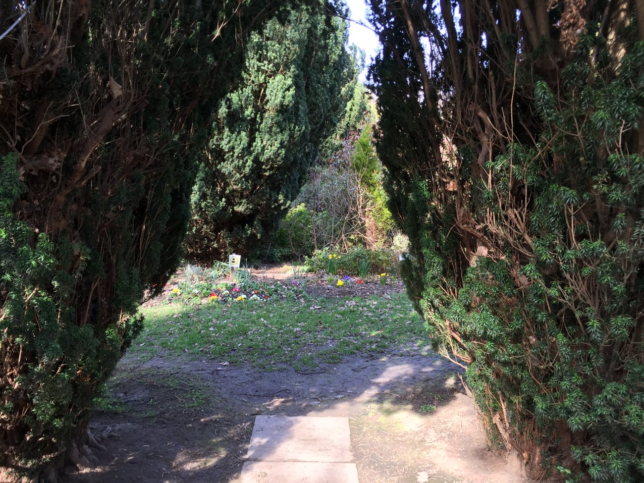 Photograph of Sensory Garden entrance