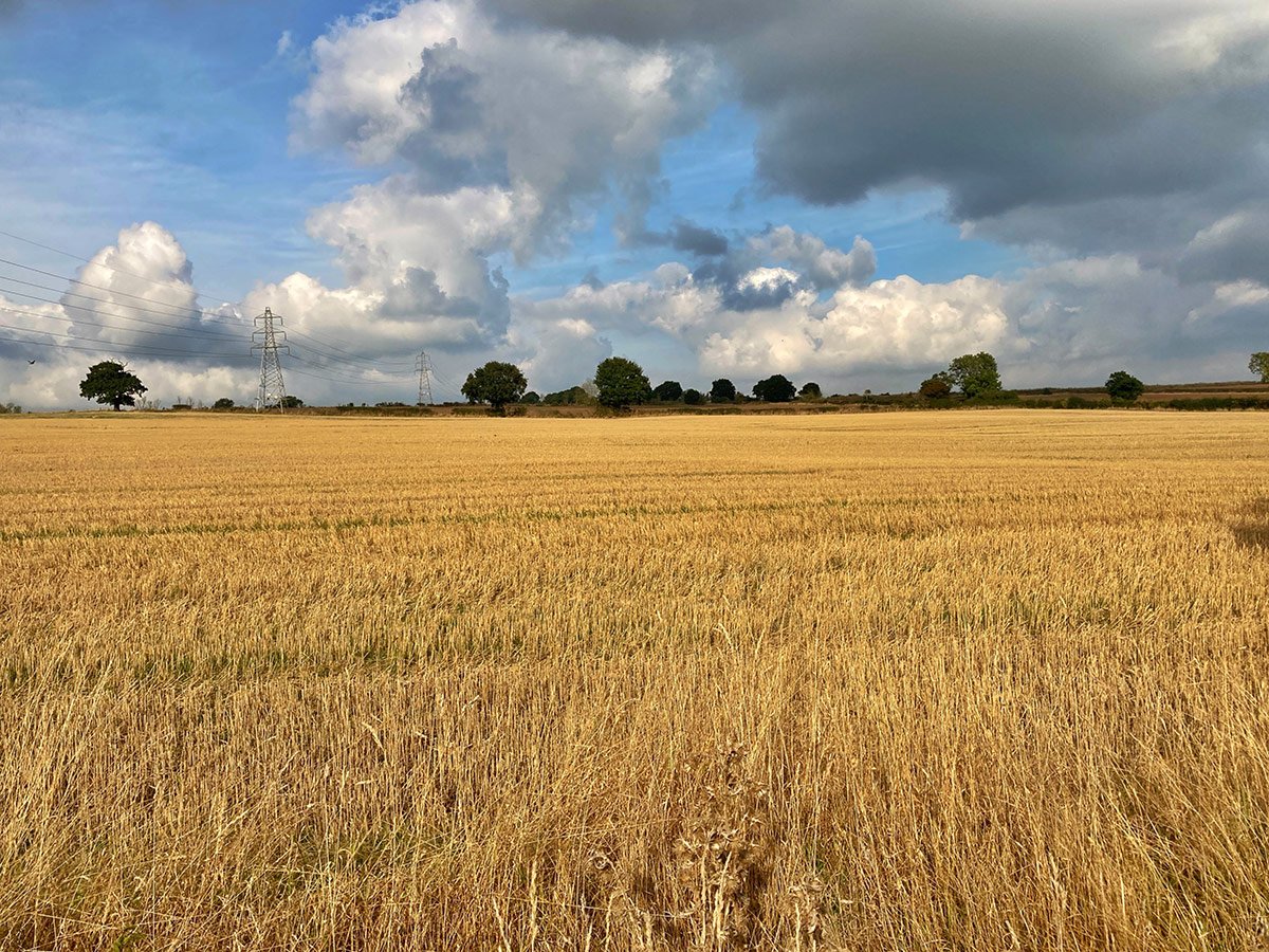 Photograph of Ockbrook fields in the autumn