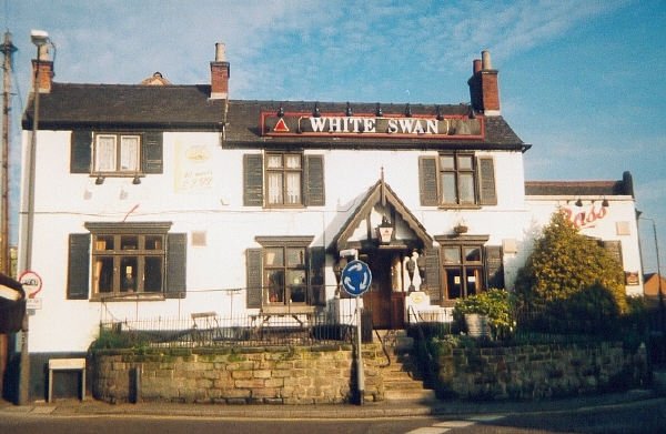 Photograph of White Swan