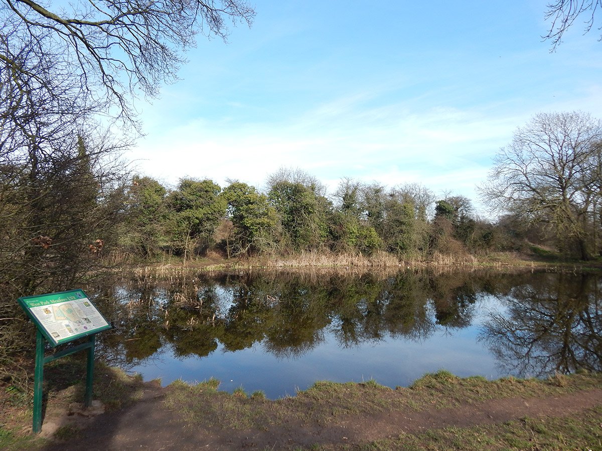 Photograph of West Park Meadows pond